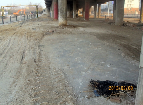 2月9日，媒体称庞洪理栖身立交桥下的位置