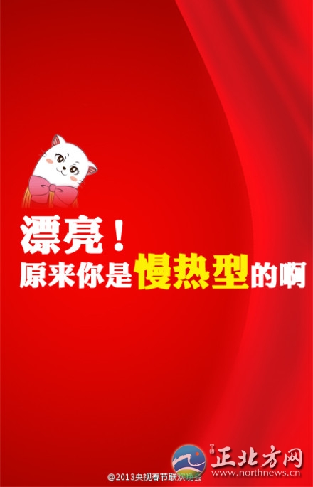 盘点2013年央视蛇年春晚流行语走红网络【组图】