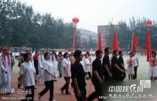 明星当老师的课堂照 谁最有范儿