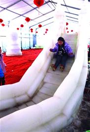 萝卜会初九拉开帷幕 萝卜会初九拉开帷幕