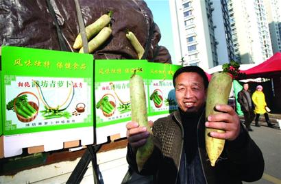 萝卜会初九拉开帷幕 萝卜会初九拉开帷幕