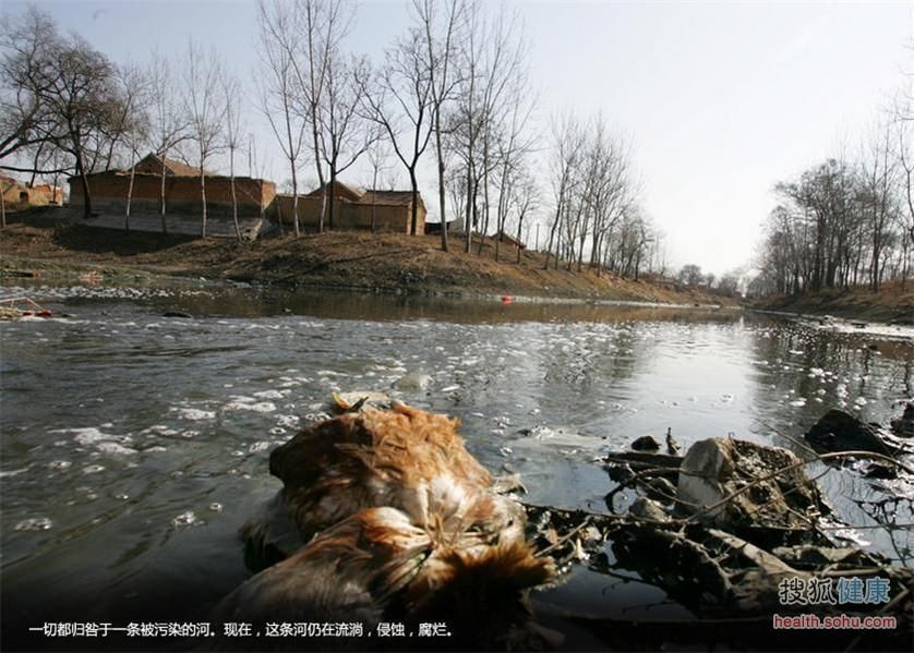 看被癌症村侵蚀的中国地图 悲痛 看被癌症村侵蚀的中国地图 悲痛