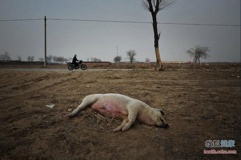 看被癌症村侵蚀的中国地图 悲痛 看被癌症村侵蚀的中国地图 悲痛