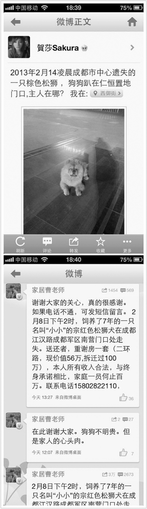 丢了一条狗 悬赏一套房