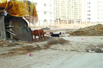 夹岭沟小区物业收每户二百监控费 主任酒后发飙 夹岭沟小区物业收每户二百监控费 主任酒后发飙