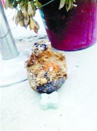 工地一铲挖出抗日时期地雷 引信完整密封炸药 工地一铲挖出抗日时期地雷 引信完整密封炸药