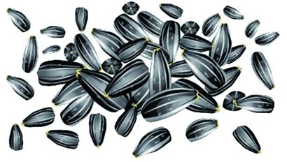 洽洽瓜子虫眼密布变质多 吃下臭籽堪比直接服毒