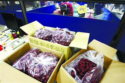 倔强红枣妈妈拒收捐款传递正能量 市民争相买枣 倔强红枣妈妈拒收捐款传递正能量 市民争相买枣