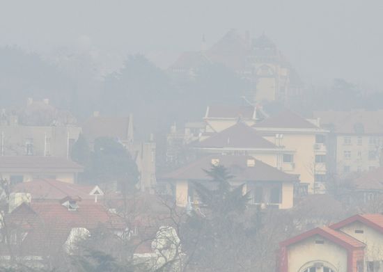 青岛迎蛇年最重雾霾天 小青岛视线中消失