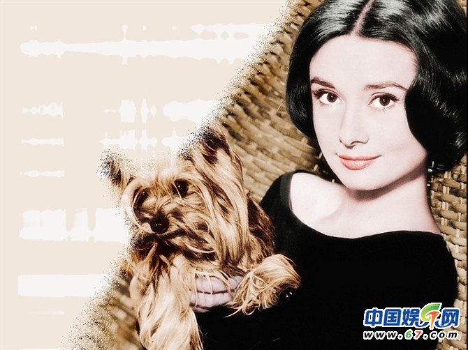 忆五位好莱坞绝代佳人 性感女神梦露人间天使赫本(图)