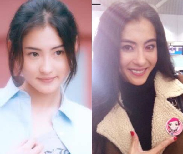 玉女出道二十年容貌今昔对比