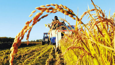 白领未来有望成农场主