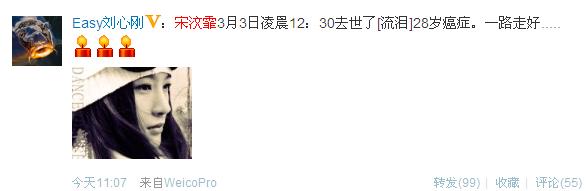 “海岩女郎”宋汶霏