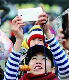 萝卜元宵糖球会落幕