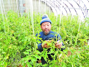 那些年，我们那样学雷锋