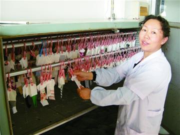 羊绒?羊毛?放大500倍数1500根 羊绒?羊毛?放大500倍数1500根