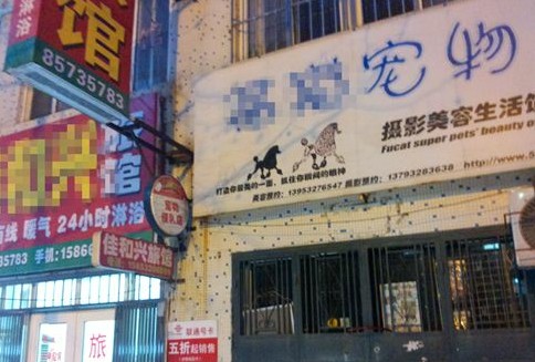 电业局电表“装反” 邻居互交电费一年才发现