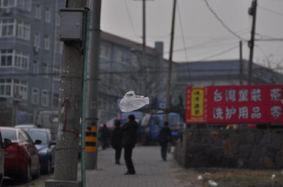 中午艳阳傍晚狂风 青岛大降温