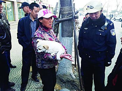 司机轧伤没拴狗链小狗