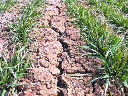 26℃变0℃ 青岛今夜将由夏入冬