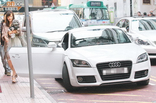 嫩模林宜芝交富豪男友变名媛 住豪宅开跑车衣着奢华