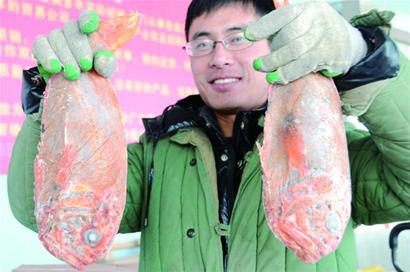 青岛海鲜味美量少价高一些商贩打着“本地”的旗号捞钱