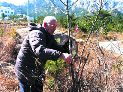 八旬翁育苗赠“爱绿之人” 八旬翁育苗赠“爱绿之人”