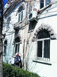 八旬翁育苗赠“爱绿之人” 八旬翁育苗赠“爱绿之人”