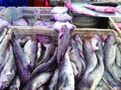 青岛海鲜味美量少价高一些商贩打着“本地”的旗号捞钱