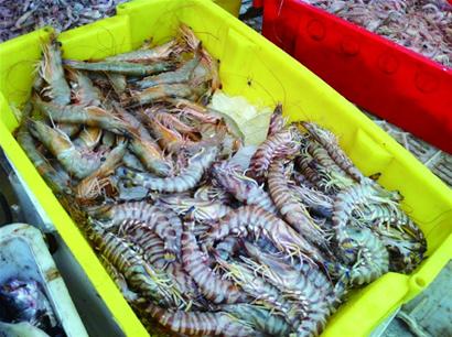 青岛海鲜味美量少价高一些商贩打着“本地”的旗号捞钱