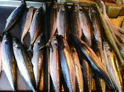 青岛海鲜味美量少价高一些商贩打着“本地”的旗号捞钱