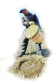 “愚公”7年填平20亩“山疤”