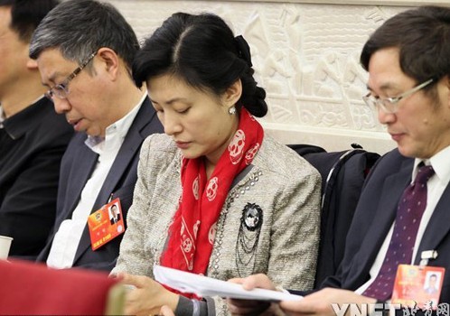 两会明星委员潮装上阵