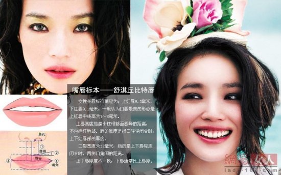 2013娱乐圈整容新标本：甄嬛眼柳岩胸舒淇嘴 