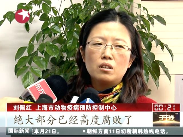 上海：黄浦江上游死猪检出猪圆环病毒 不会感染人截图