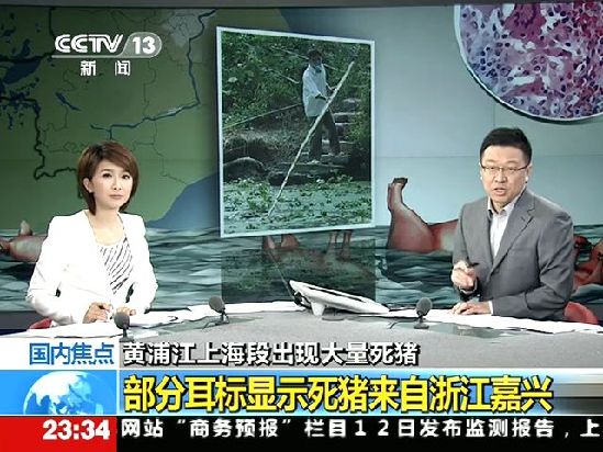 部分耳标显示死猪来自浙江嘉兴截图