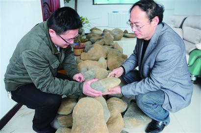 即墨茶场惊现“陨石阵”