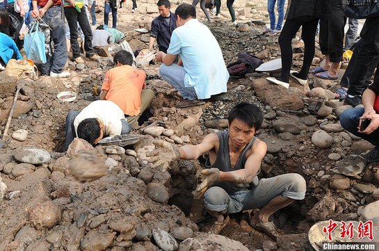 重庆市民扎堆嘉陵江“淘宝”