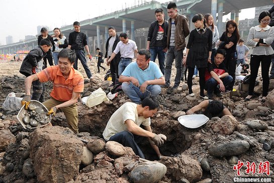 重庆市民扎堆嘉陵江“淘宝”