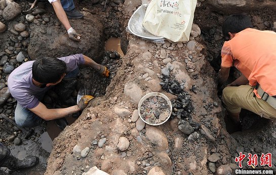 重庆市民扎堆嘉陵江“淘宝”