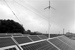 位于鄞州集士港的分布式新能源民用并网试点项目 通讯员 郑之超