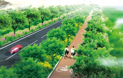 大沽河堤顶将建绿色廊道