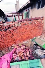 猪头猪脑猪耳朵黑心黑肺黑作坊