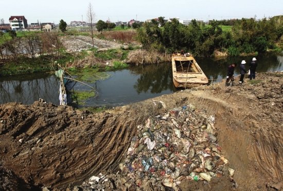 浙江嘉兴水乡河道污染无鱼 渔民改行捞猪(组图)