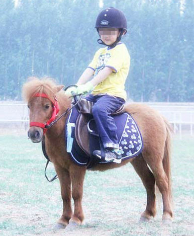 于谦可爱儿子曝光