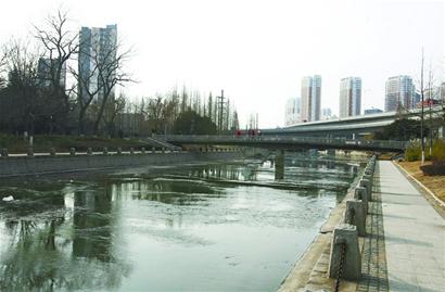 整治8条河 再现水清鱼欢