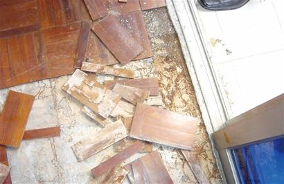 又到白蚁横行季青岛还是重灾区