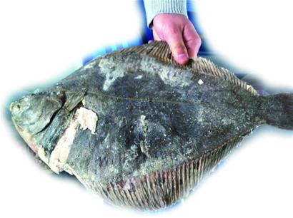 “面生”洋海鲜狮子大张口