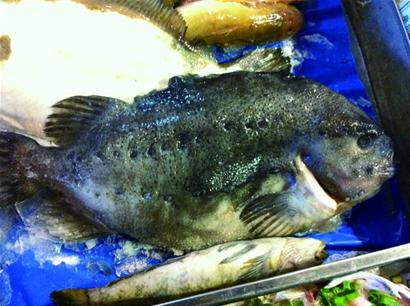 “面生”洋海鲜狮子大张口