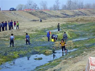 河道清淤引来捞鱼“大军”